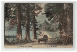 JAPON JAPAN #18727 CRYPTOMERIA ROAD HAKONE - Autres & Non Classés