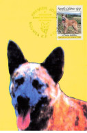 CARTE MAXIMUM #23593 NOUVELLE CALEDONIE NOUMEA 1992 EXPOSITION CANINE INTERNATIONALE CHIEN BOUVIER AUSTRALIEN - Cartoline Maximum