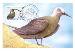 CARTE MAXIMUM #23566 NOUVELLE CALEDONIE NOUMEA 1995 OISEAU DE MER ANOUS STOLIDUS - Tarjetas – Máxima