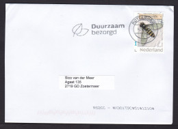 Netherlands: Cover, 2024, 1 Stamp, Hoverfly, Hover Fly, Insect, Animal (traces Of Use) - Covers & Documents