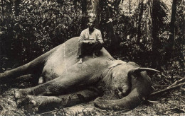 MALAYSIA MALAISIE #23365 HUBBACK HUNT CHASSE A L ELEPHANT CARTE PHOTO - Malasia