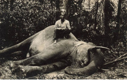 MALAYSIA MALAISIE #23365 HUBBACK HUNT CHASSE A L ELEPHANT CARTE PHOTO - Malaysia