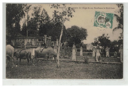 TONKIN INDOCHINE VIETNAM SAIGON #18648 HANOI MONUMENTS DU VILLAGE DE EXCELLENCE LE KINH LUOC BUFFLES - Viêt-Nam