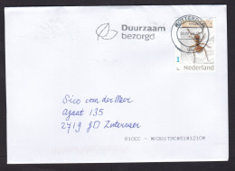 Netherlands: Cover, 2024, 1 Stamp, Ant, Insect, Animal (traces Of Use) - Brieven En Documenten