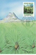 CARTE MAXIMUM #23412 POLYNESIE FRANCAISE PAPEETE 1991 ANANAS - Cartoline Maximum