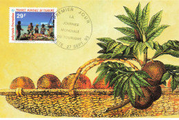 CARTE MAXIMUM #23479 POLYNESIE FRANCAISE PAPEETE 1993 JOURNEE MONDIALE DU TOURISME TAHITI - Cartes-maximum