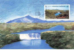 CARTE MAXIMUM #23464 NOUVELLE CALEDONIE NOUMEA 1992 PROTECTION DE LA NATURE - Maximum Cards