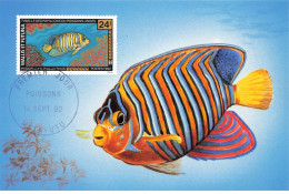 CARTE MAXIMUM #23468 WALLIS ET FUTUNA MATA UTU 1992 POISSONS ANGES - Tarjetas – Máxima