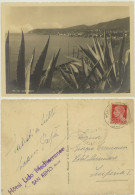 SAN REMO -SANREMO -IMPERIA -PANORAMA  1935 - San Remo