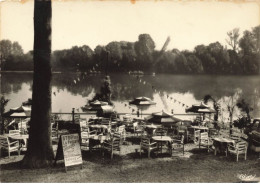 78 ROLLEBOISE  #24460 LA FREGATE TABAC BAR TERRASSE BORD DE SEINE - Autres & Non Classés