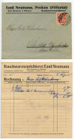 Germany 1925 Cover & Invoices; Pockau (Flöhatal), Emil Neumann, Rauchwarenzurichterei; 10pf. German Eagle & Rhineland - Covers & Documents