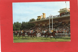 14-----DEAUVILLE--le Champ De Courses---voir 2 Scans - Deauville