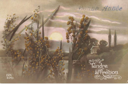 BONNE ANNEE #27041 VOEUX TENDRE AFFECTION FLEURS MIMOSA PAYSAGE - Anno Nuovo