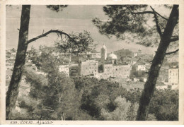 20 CORSE 2A AJACCIO #31760 PANORAMA + CACHET COTI CHIAVARI - Ajaccio