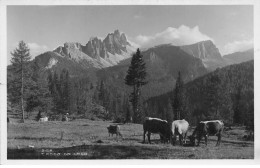 ITALIE #CL29247 CRODA DA LAGO - Autres & Non Classés