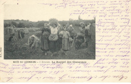 SCENE CHAMPETRE #26970 BRETON LE RAPPEL DES GLANEUSES METIER CULTURE - Cultivation