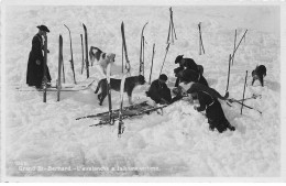 SUISSE VALAIS #29049 GRAND ST BERNARD L AVALANCHE A FAIT UNE VICTIME CHIENS SKIS - Otros & Sin Clasificación