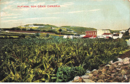 ESPAGNE SPAIN #32833 GRAN CANARIA PLATANAL GUIA - Gran Canaria