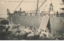 TUNISIE #28105 TUNIS BATEAUX CHARGEMENT BOEUFS POUR LA FRANCE - Tunisia