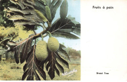 GUADELOUPE #32710 FRUITS A PAIN - Other & Unclassified
