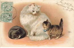 CHATS CHAT #FG35082 CAT KATZE MAMAN CHAT BLANC ET SES DEUX CHATONS - Cats