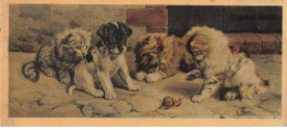 CHAT #32386 GROUPE DE CHATONS ET CHIOT JACK RUSSELL JOUANT AVEC UN ESCARGOT ILLUSTRATEUR MEIER - Katzen