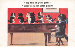 CHATS NOIRS #32382 CAT BLACK KATZEN TRY THIS ON YOUR PIANO CHAT PIANISTE ET CHATONS DANSANT - Katzen