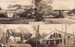 POLSKA Poland - SPAŁA - Rez. P. Prezudenta - Halat Sportowa - Grzyb - FOTO - Poland