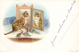 CHATS CHAT #FG35126 CAT KATZE UN CHAT SE REGARDE DANS LE MIROIR PARFUM BOUTEILLE - Cats