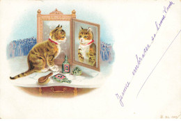 CHATS CHAT #FG35126 CAT KATZE UN CHAT SE REGARDE DANS LE MIROIR PARFUM BOUTEILLE - Chats