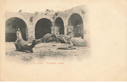 TUNISIE #MK34267 FONDOUK ARABE . DROMADAIRE - Túnez