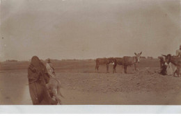 EGYPTE EGYPTE #32422 GROUPE D ANES CARTE PHOTO - Other & Unclassified