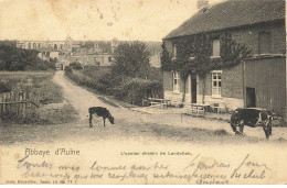 BELGIQUE #MK35735 ABBAYE D AULNE L ANCIEN CHEMIN DE LANDELIES VACHES - Sonstige & Ohne Zuordnung