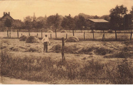 BELGIQUE #MK35726 PENSIONNAT DE ST FRANCOIS BLICQUY LES ENVIRONS DU COUVENT - Leuze-en-Hainaut