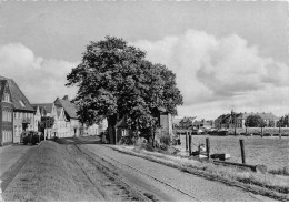 ALLEMAGNE #MK35910 GLUECKSTADT ELBE AM HAFEN - Glueckstadt