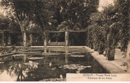 ESPAGNE #AS31658 SEVILLA PARQUE MARIA LUISA ESTANQUE DE LOS LIRIOS - Sevilla