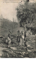 ALGERIE #MK34297 KABYLIE LE SECHAGE DES OLIVES - Autres & Non Classés