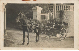 FIACRE #MK34477 ATTELAGE FIACRE CHEVAL CARTE PHOTO - Taxi & Fiacre