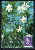 ROMANIA 1972 PROTECTED FLOWERS FLOWER NACISSUS NARCISO 1.35L MAXI MAXIMUM CARD - Tarjetas – Máximo