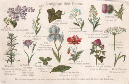 XXX - LANGAGE DES FLEURS - SENTIMENTS - Fleurs