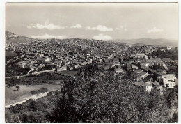 LERCARA - PANORAMA - PALERMO - 1963 - Palermo