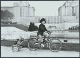 "Enfant Promenant Son Ours" (photo De 1947) - Vélo - Andere & Zonder Classificatie