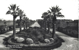 Carte Postale - Cavalaire-sur-Mer - L'allée Pardigon - Cavalaire-sur-Mer