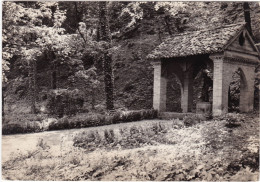 CASTELNUOVO (PIACENZA) - CARTOLINA  - APOSTOLICO ISTITUTO SACRO CUORE - VIAGGIATA PER LODI - 1962 - Piacenza