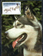 ROMANIA 1982 DOG SLED  3.40L MAXI MAXIMUM CARD - Cartoline Maximum