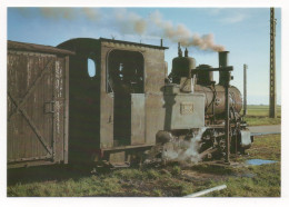 GUIGNEVILLE (45) LIGNE DE PITHIVIERS À TOURY - LOCOMOTIVE 050 T KOPPEL N° 5-3 DU TPT FAISANT DE L'EAU EN GARE - Trenes