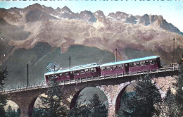 74 - Massif Du MONT BLANC - Le Train De Montenvers Et Les Aiguilles Rouges - Chamonix-Mont-Blanc