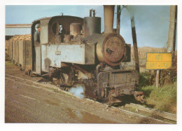 TOURY (28) LOCOMOTIVE 030 T DECAUVILLE MANOEUVRANT UNE RAME À LA SUCRERIE - LE 1er NOVEMBRE 1963 - Trains