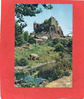 15----Le Château De SAILHANT---voir 2 Scans - Otros & Sin Clasificación