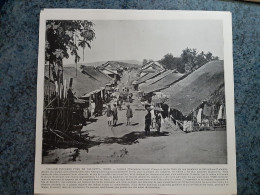 AFFICHE  - PHOTOGRAPHIQUE   -  VILLAGE INDIGENE PRES DE CALCUTTA  EN INDES - Afiches